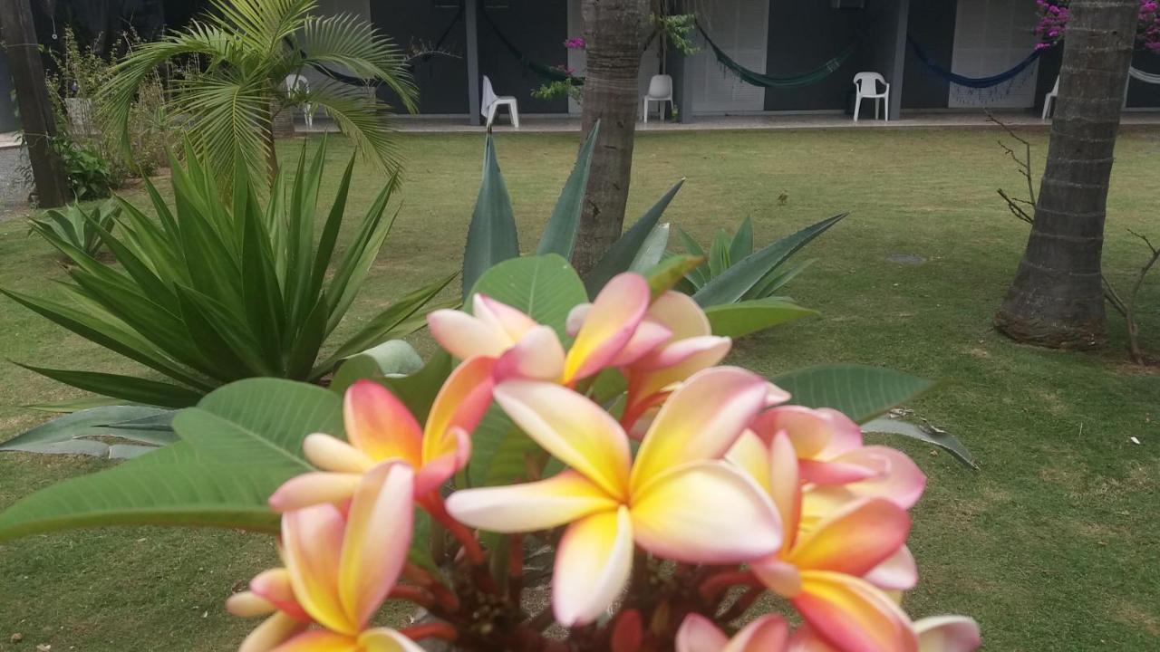 Capri Hotel São Francisco do Sul Kültér fotó