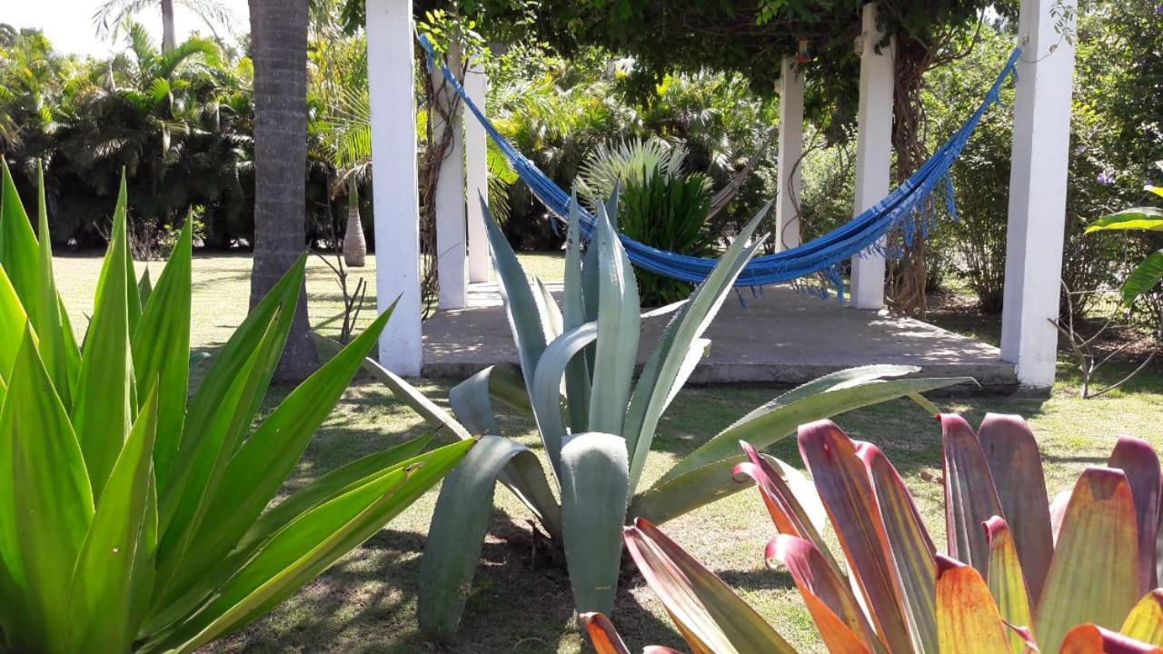 Capri Hotel São Francisco do Sul Kültér fotó